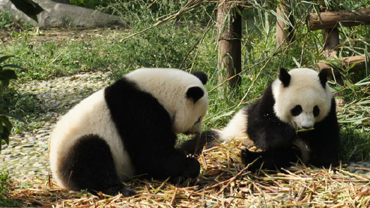 四川省旅游信息中心